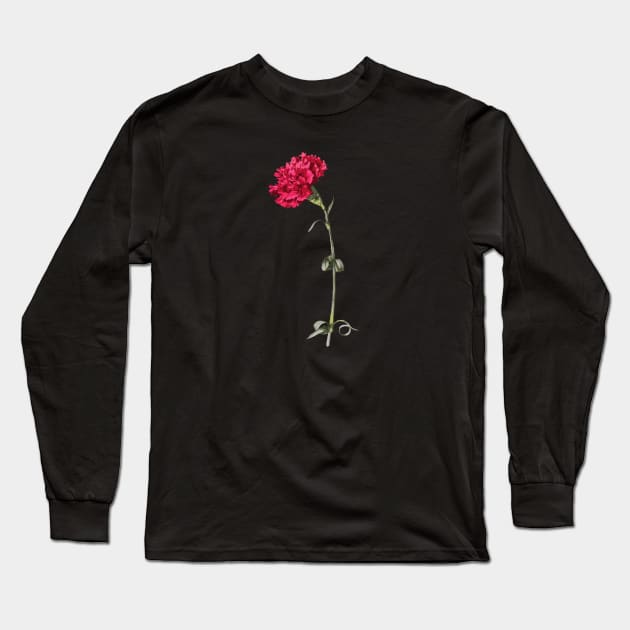 Single Stem Red Carnation Isolated Long Sleeve T-Shirt by taiche
